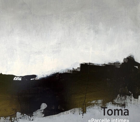 toma expose a sauzon pour ses 60 ans de peinture
